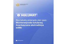 Internationally wanted suspect extradited from Montenegro to Azerbaijan