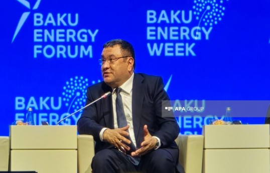 Uzbekistan's Energy Minister Jurabek Mirzamakhmudov