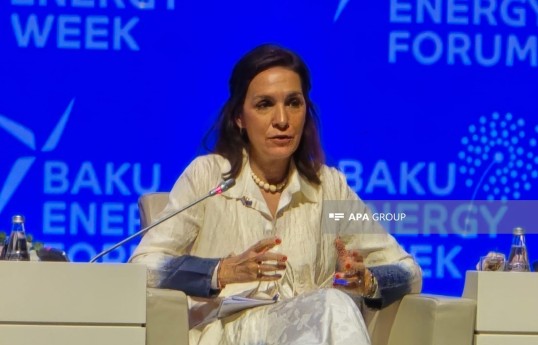 Cristina Lobillo Borrero, Director for Energy Security and International Relations at the European Commission