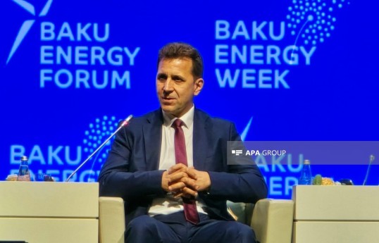 Bulgaria's Deputy Energy Minister Kiril Temelkov