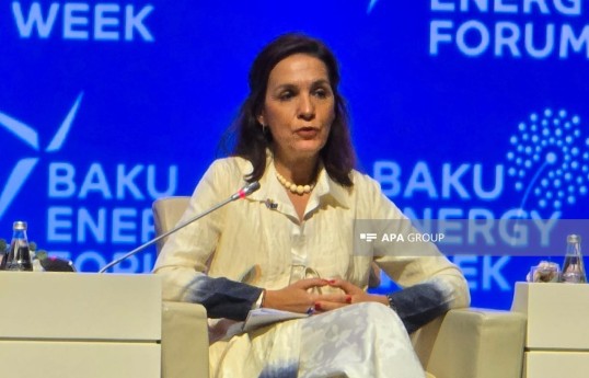 Cristina Lobillo Borrero, Director for Energy Security and International Relations at the European Commission