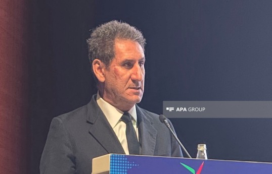 Director-General of the International Renewable Energy Agency (IRENA) Francesco La Camera