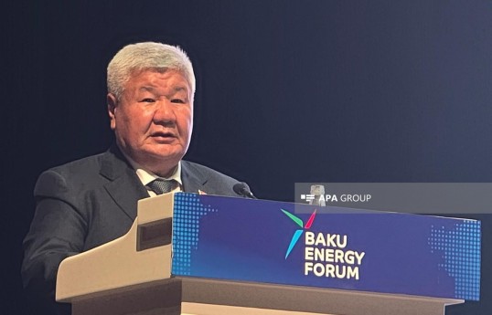 Kyrgyz Energy Minister Taalaybek Ibraev