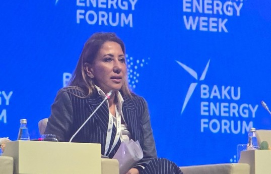 Sule Kılıç, EBRD Head of Energy for Eurasia