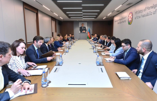 Azerbaijani FM discussed TRIPP implementation with US Assistant Secretary of State