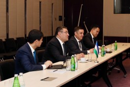 Azerbaijani and Uzbek energy ministers hold meeting