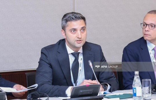 Elmir Musayev, General Director of SOCAR Green