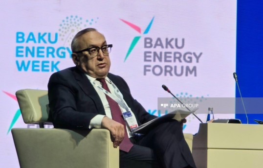 SOCAR Vice President Vitaliy Baylarbayov