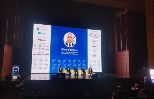 Deputy Minister: Artificial intelligence is creating a new reality for energy systems