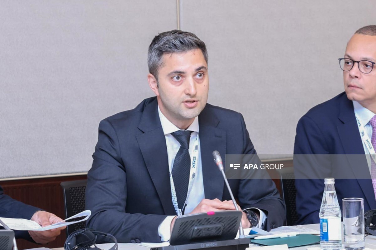 General Director: Energy efficiency has become one of Azerbaijan's key strategic priorities