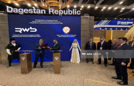 Azerbaijani delegation participates in St. Petersburg International Economic Forum