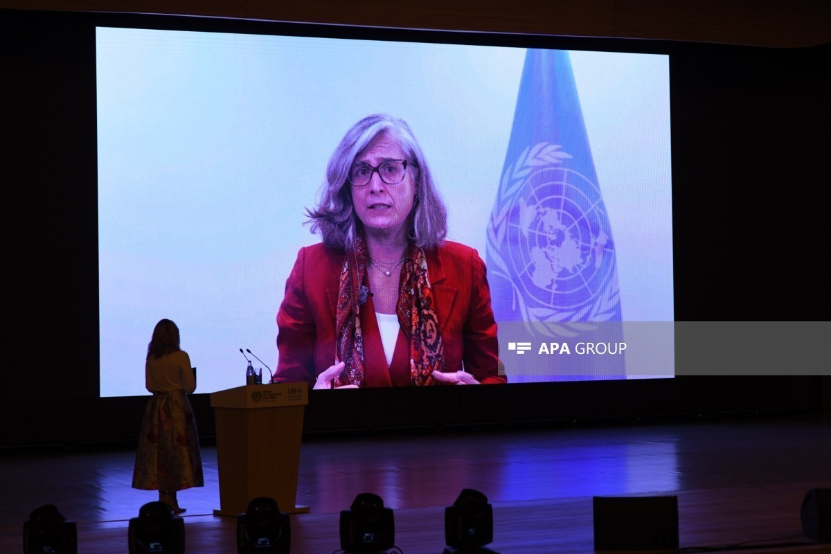 Executive Director of the United Nations Human Settlements Programme (UN-Habitat) Anacláudia Rossbach