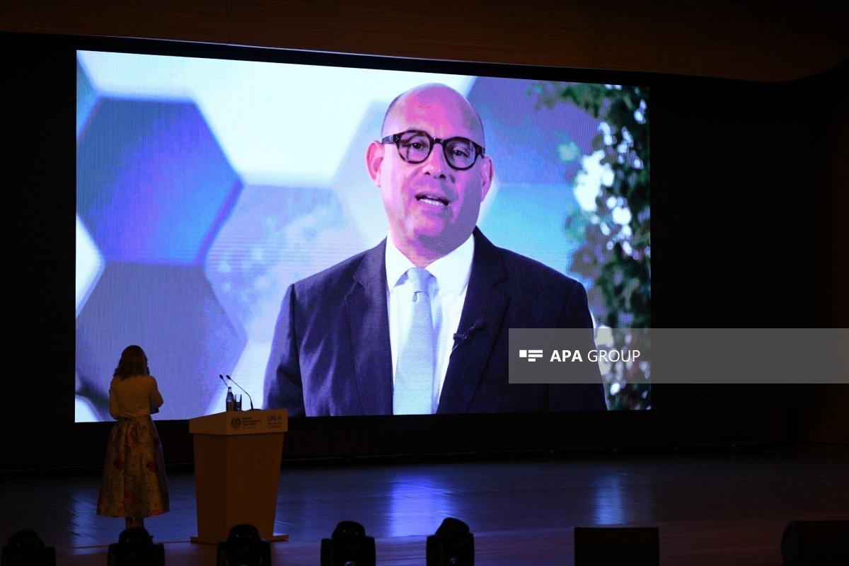 Executive Secretary of the United Nations Framework Convention on Climate Change (UNFCCC), Simon Stiell