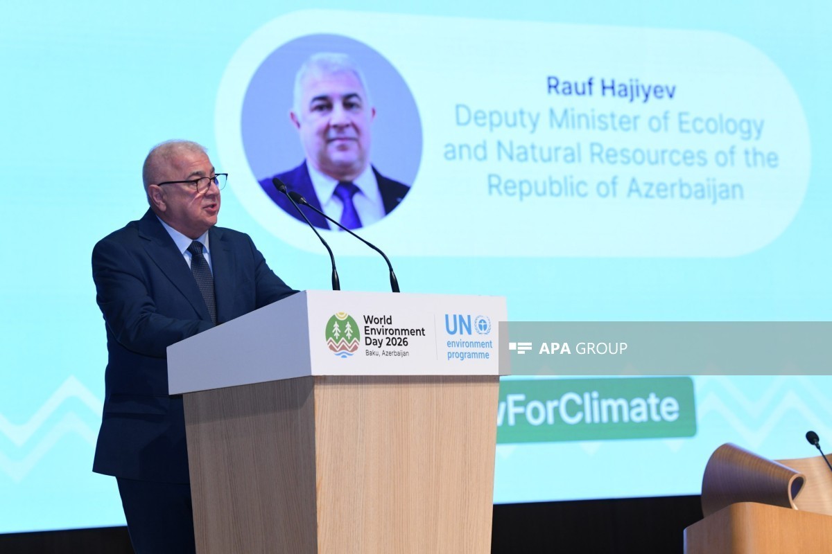 Rauf Hajiyev, Deputy Minister of Ecology and Natural Resources
