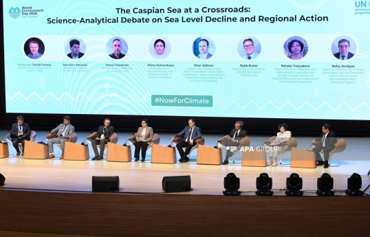 Next panel held at event dedicated to World Environment Day - PHOTO 