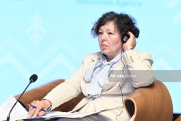 Next panel held at event dedicated to World Environment Day - PHOTO 