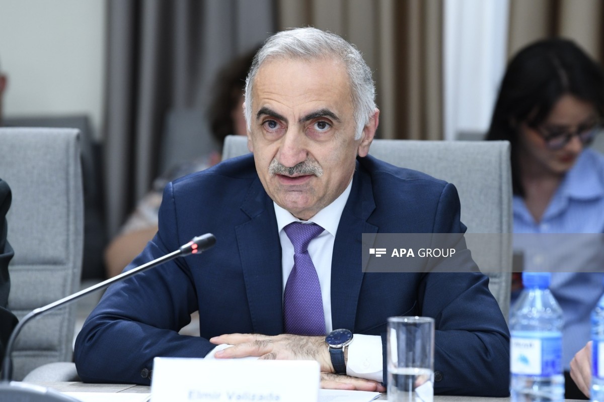 Elmir Vəlizada: Proposed law aims to protect children from h