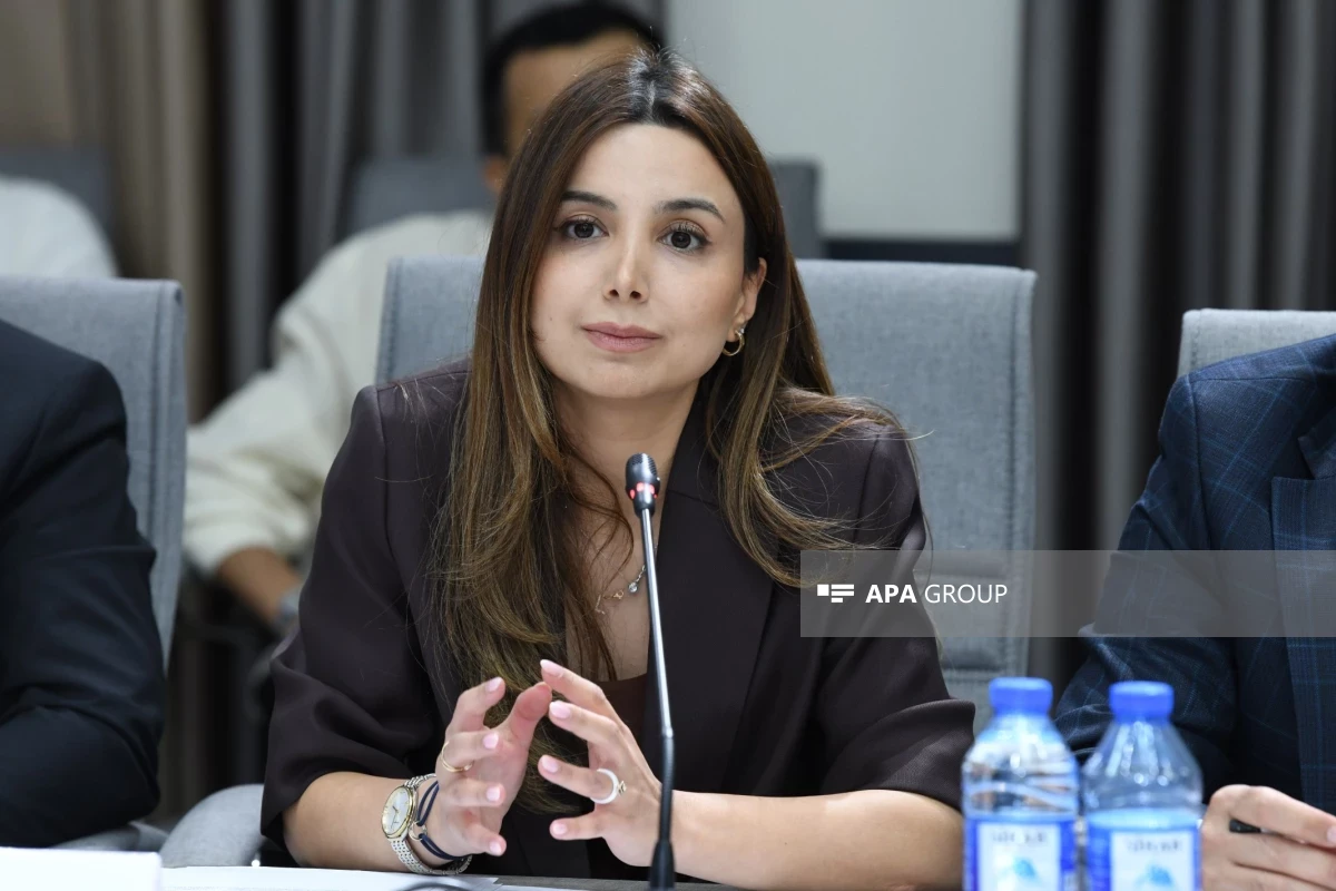 Justice Ministry official: Draft social media law 