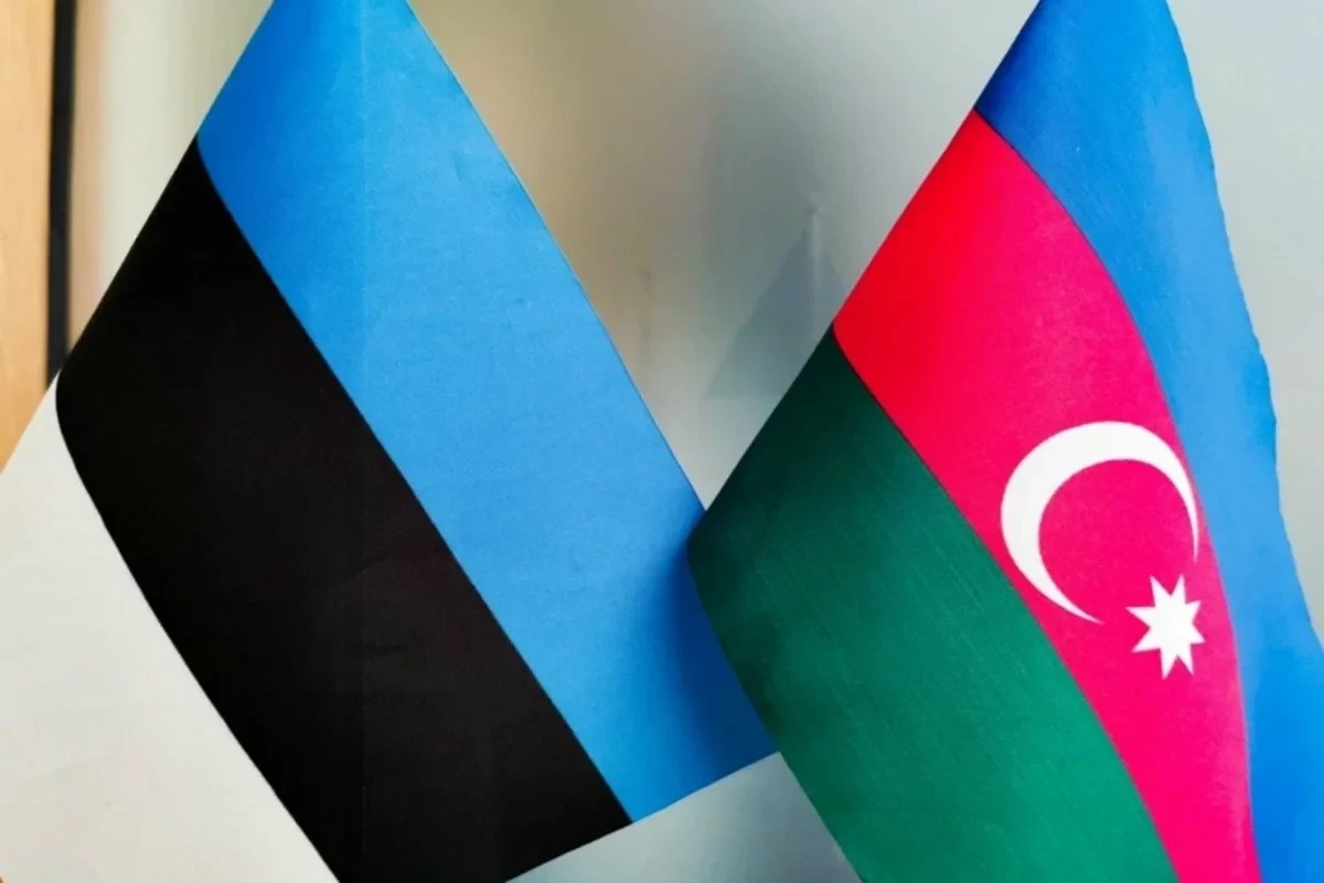 Political consultations held between Azerbaijan and Estonia