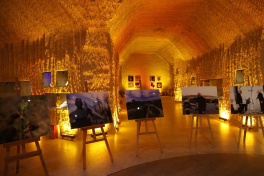 Photo exhibition launched at Türkiye’s famous Güray Museum on the occasion of National Salvation Day