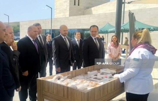 Regional meeting on implementation of State Program for agricultural development held in Zangilan - PHOTO 