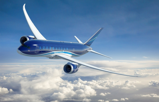 AZAL's Nakhchivan flights return to Baku due to weather conditions
