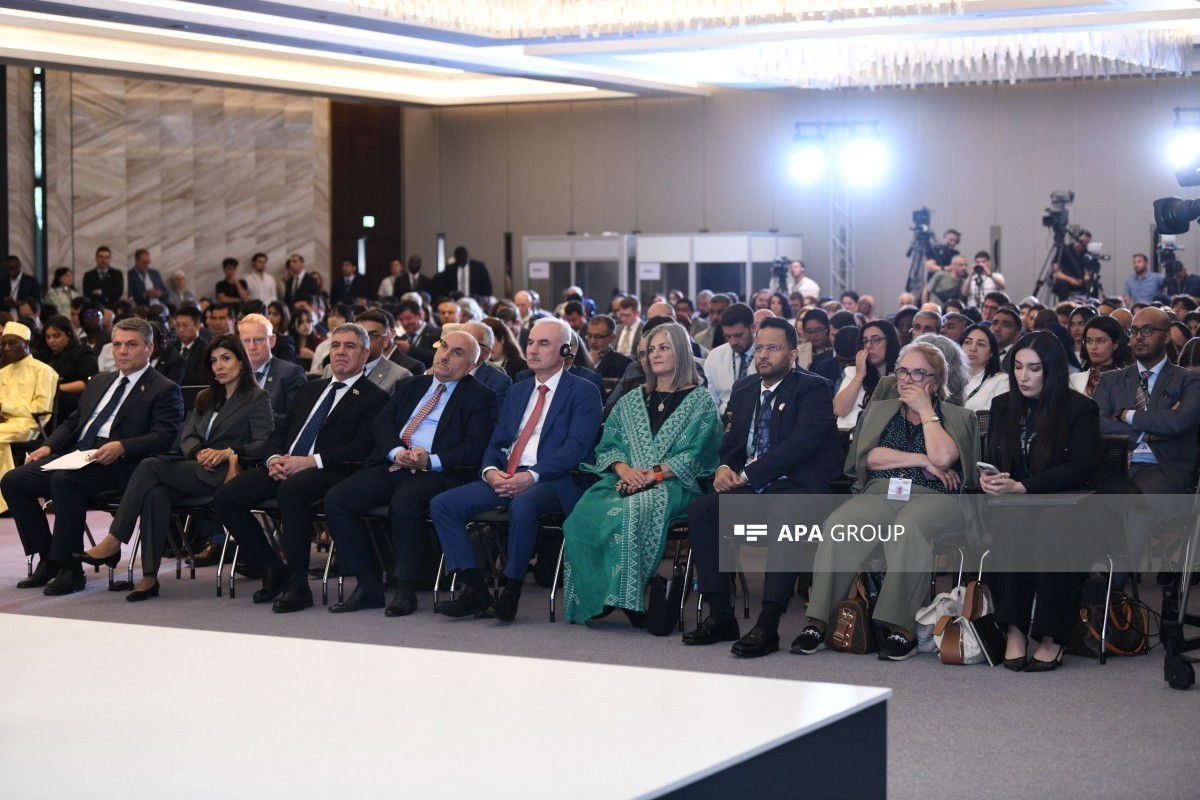 UN Special Envoy: Incorrect risk assessment increases debt burden in developing countries