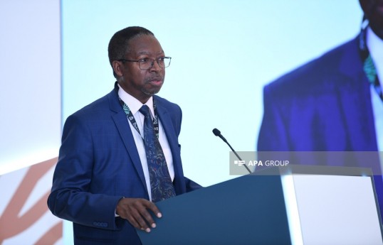 Director of the Economic and Social Infrastructure Department of the Islamic Development Bank, Idrissa Dia