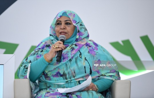 Amira Elfadil, Advisor to the Director-General of the Islamic World Educational, Scientific and Cultural Organization (ICESCO)
