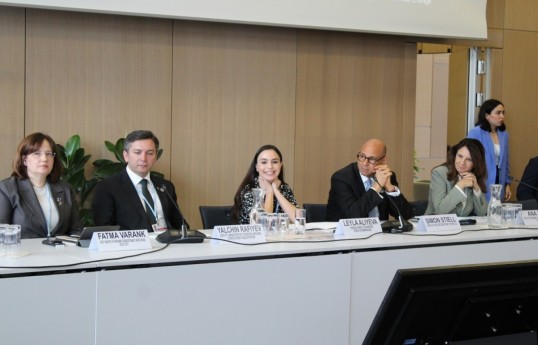 Leyla Aliyeva participates in Bonn discussion on environmental impact of Caspian Sea’s declining water level