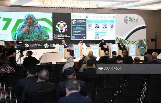 Global Islamic Economists Program launched within IsDB Annual Meetings