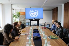 Leyla Aliyeva meets with UN Under-Secretary-General in Bonn