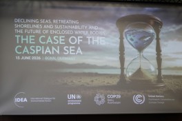 Leyla Aliyeva participates in Bonn discussion on environmental impact of Caspian Sea’s declining water level