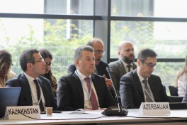 Leyla Aliyeva participates in Bonn discussion on environmental impact of Caspian Sea’s declining water level