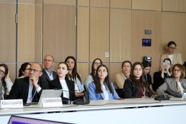 Leyla Aliyeva participates in Bonn discussion on environmental impact of Caspian Sea’s declining water level
