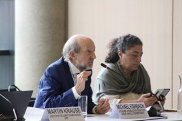 Leyla Aliyeva participates in Bonn discussion on environmental impact of Caspian Sea’s declining water level