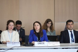 Leyla Aliyeva participates in Bonn discussion on environmental impact of Caspian Sea’s declining water level