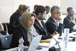 Leyla Aliyeva participates in Bonn discussion on environmental impact of Caspian Sea’s declining water level