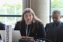 Leyla Aliyeva participates in Bonn discussion on environmental impact of Caspian Sea’s declining water level