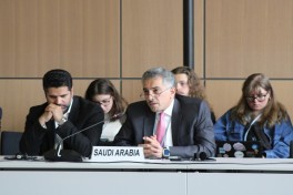 Leyla Aliyeva participates in Bonn discussion on environmental impact of Caspian Sea’s declining water level