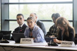 Leyla Aliyeva participates in Bonn discussion on environmental impact of Caspian Sea’s declining water level