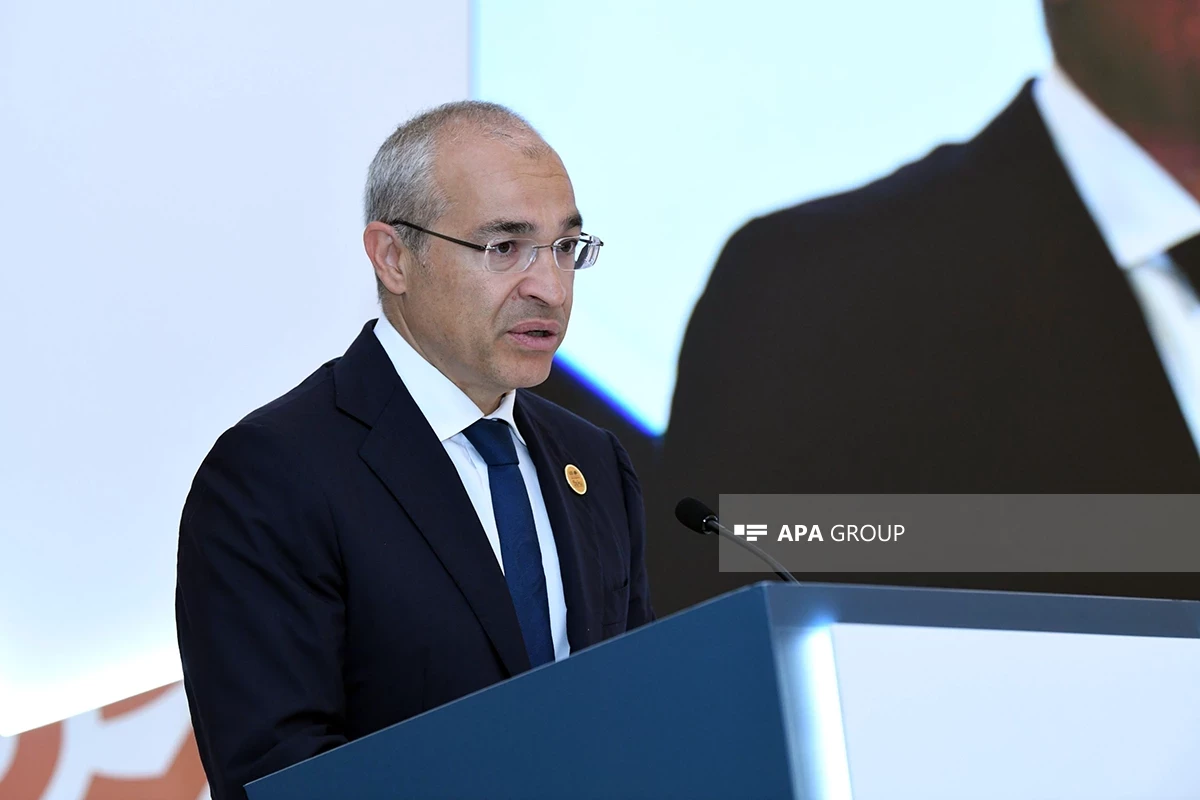 Mikayil Jabbarov, Azerbaijan’s Minister of Economy
