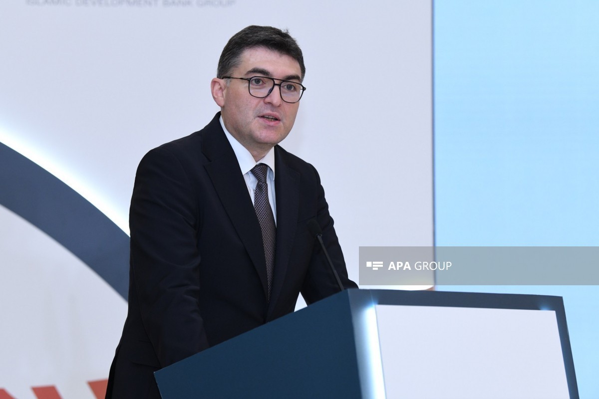 Deputy Minister of Energy Orkhan Zeynalov
