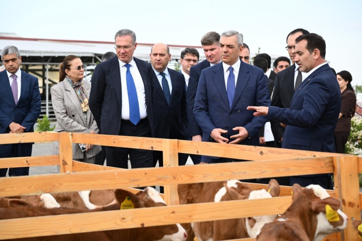 Livestock complex in Khojaly visited