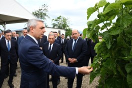 Infrastructure created for sericulture development in Dashbulag village of Khojaly reviewed