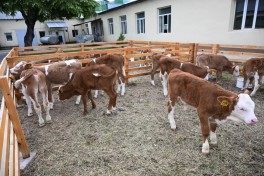 Livestock complex in Khojaly visited