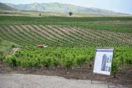 Participants of Coordination Headquarters meeting visit intensive orchards in Khojaly