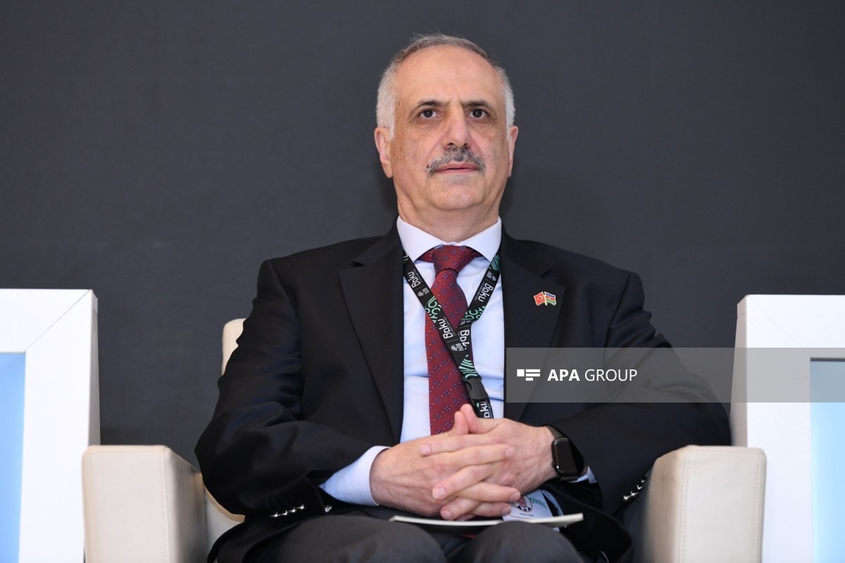 Deputy Minister of Treasury and Finance of Türkiye Osman Çelik