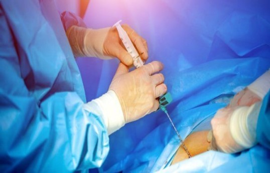 Proposal made to establish a bone marrow donor bank in Azerbaijan
