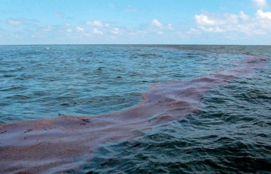 SOCAR: Damage to underwater pipeline caused oil pollution at Dubendi beach